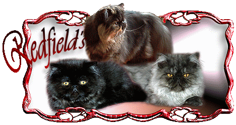 Redfield's Persians